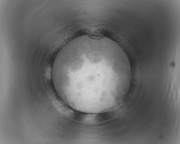X0000114560090200911091228