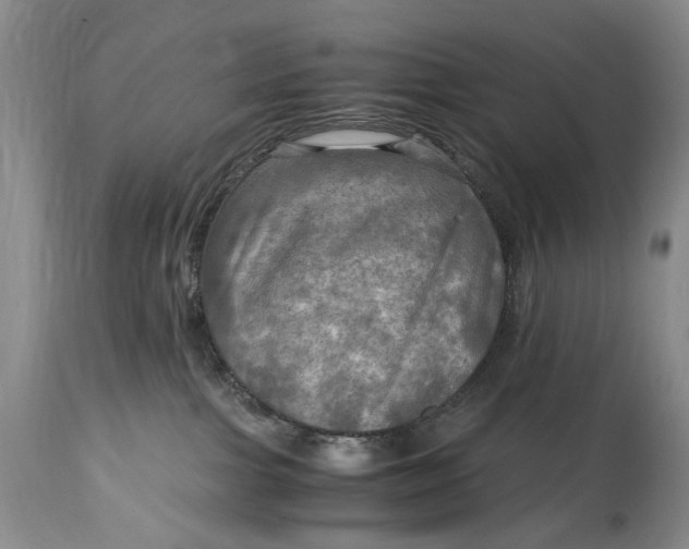 X0000114560091200911091228