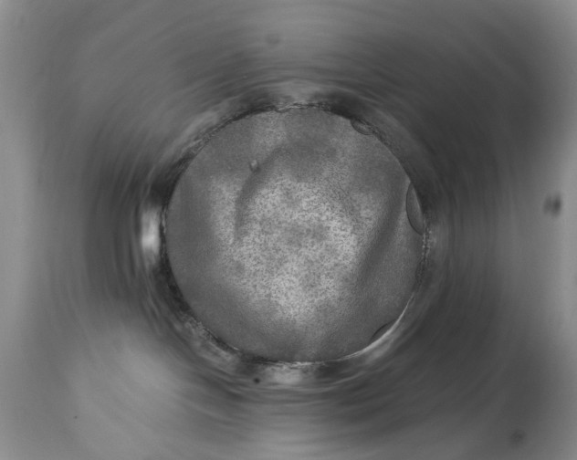 X0000114560094200911091228