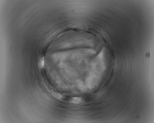 X0000114560095200911091228