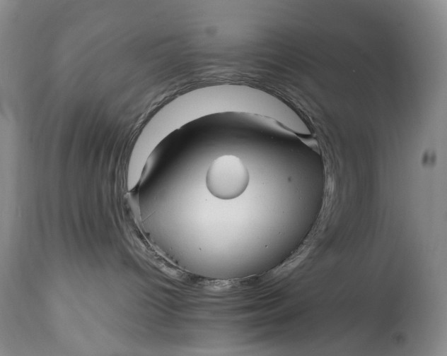 X0000114560096200911091228