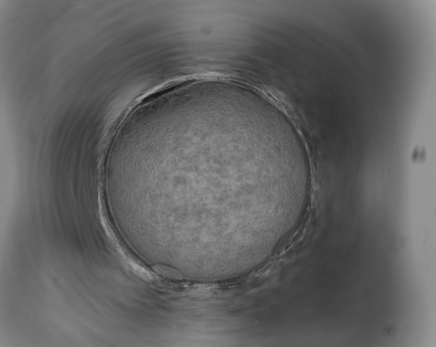 X0000114560097200911091227