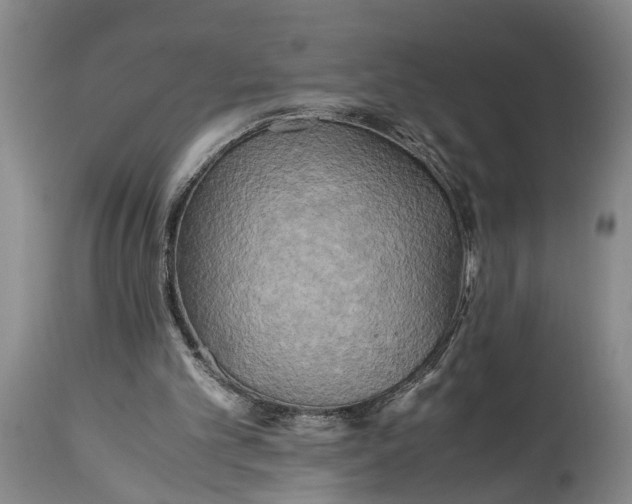 X0000114560101200911091227