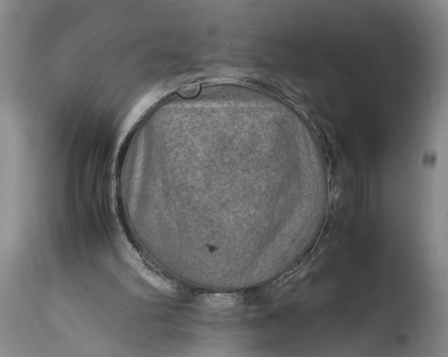 X0000114560102200911091227