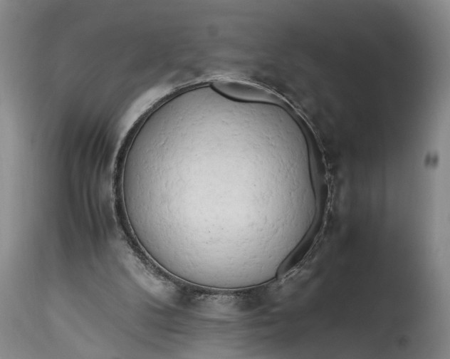 X0000114560104200911091227