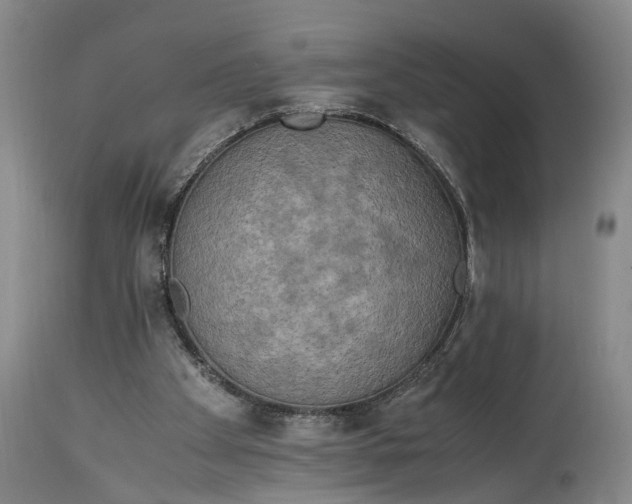 X0000114560105200911091227