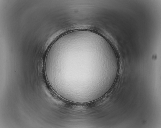 X0000114560107200911091227