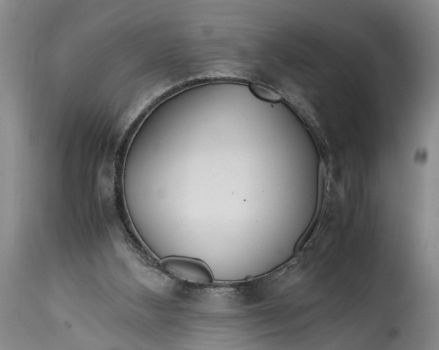 X0000114560108200911091227