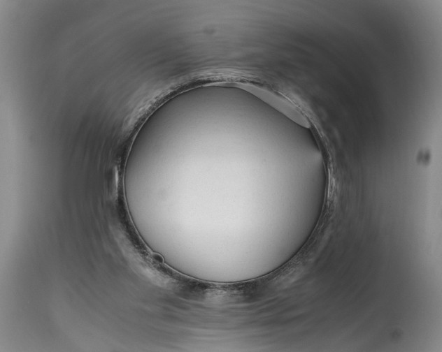 X0000114560109200911091227