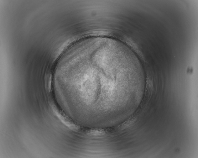 X0000114560110200911091227