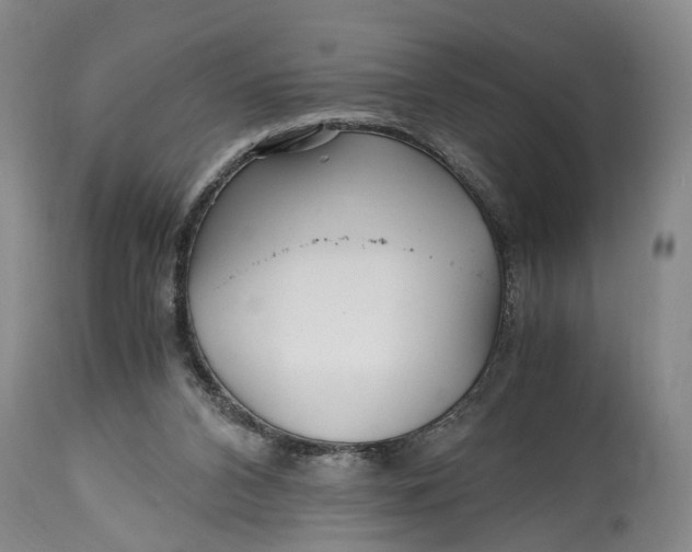 X0000114560112200911091227