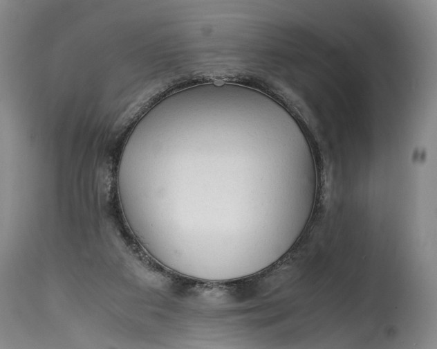 X0000114560113200911091227