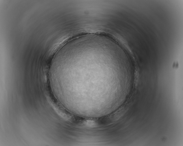 X0000114560114200911091227