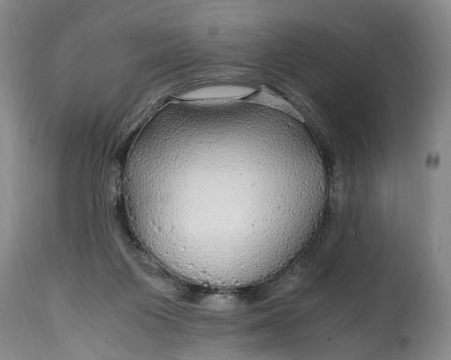 X0000114560119200911091227