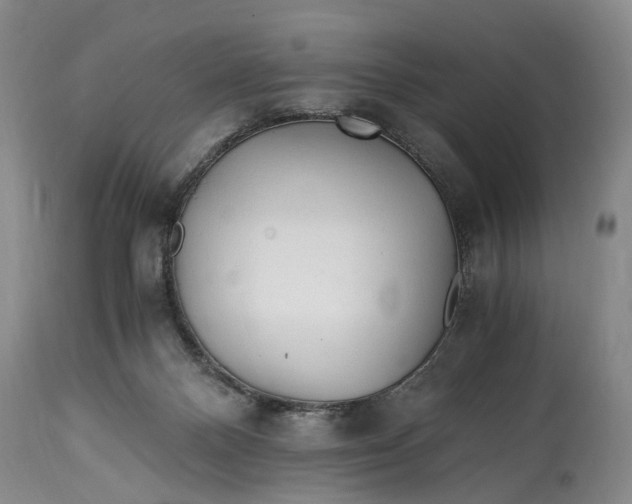 X0000114560120200911091227