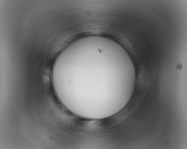 X0000114560122200911091227