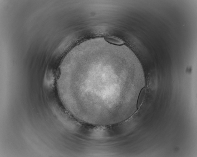 X0000114560124200911091227
