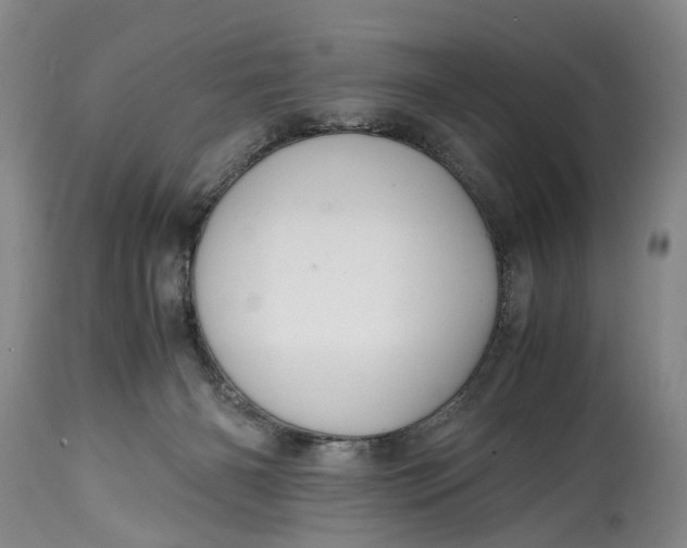 X0000114560126200911091227