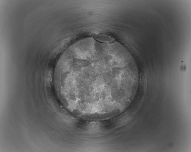 X0000114560127200911091227