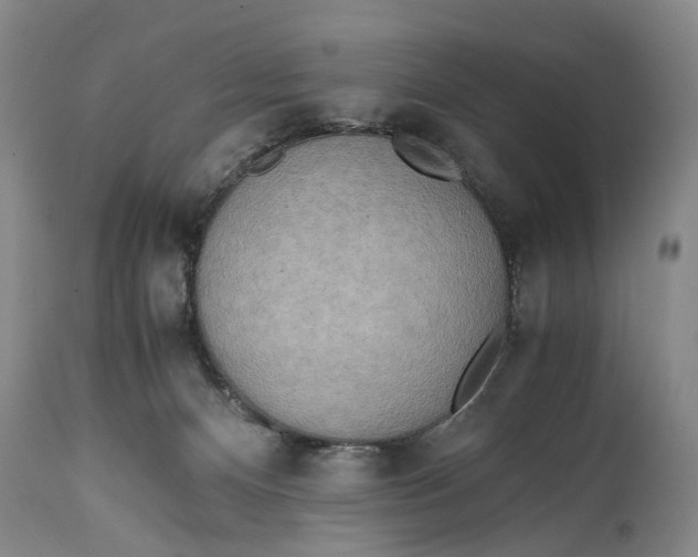 X0000114560128200911091227