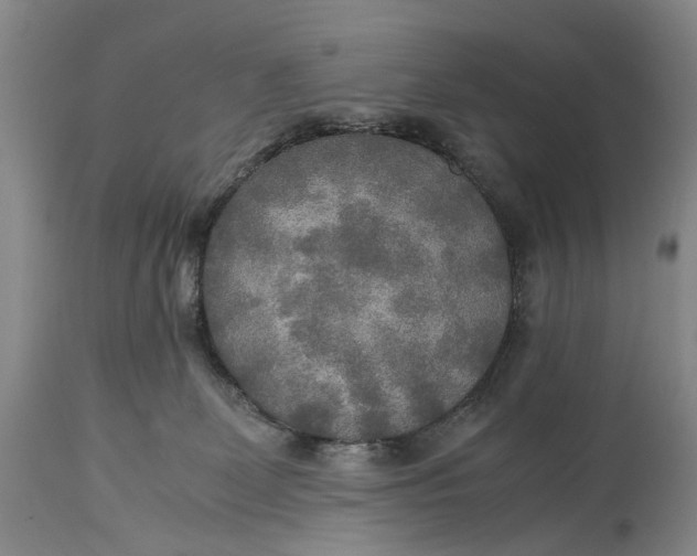 X0000114560131200911091227