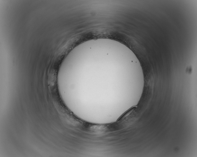 X0000114560133200911091227