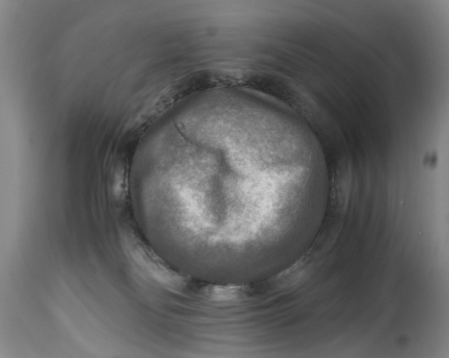 X0000114560134200911091227