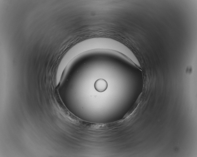 X0000114560136200911091227