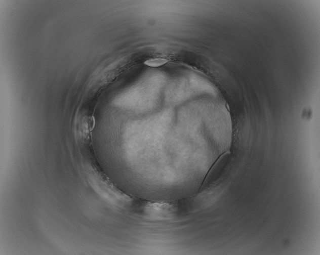X0000114560137200911091226