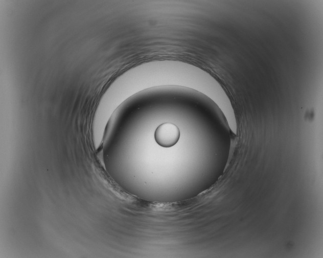 X0000114560141200911091226