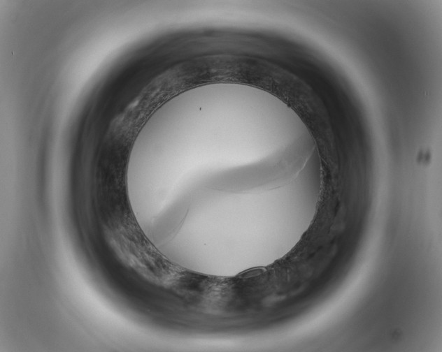 X0000114560143200911091226