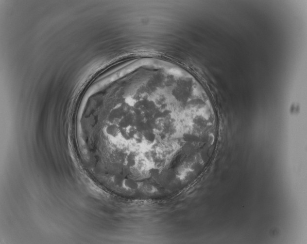 X0000114560145200911091226