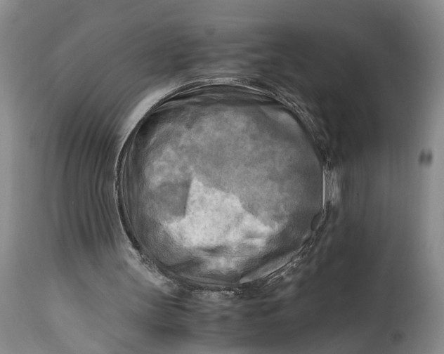 X0000114560147200911091226
