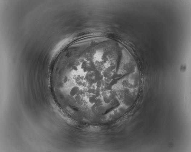 X0000114560149200911091226