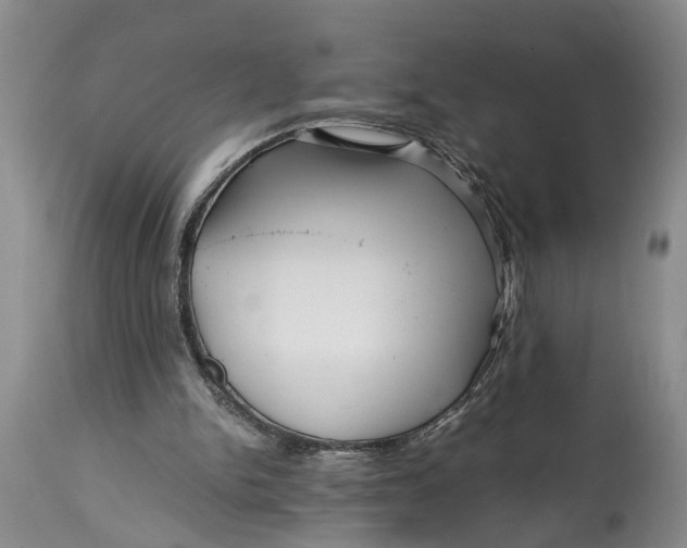 X0000114560150200911091226