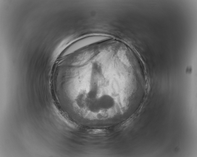 X0000114560151200911091226