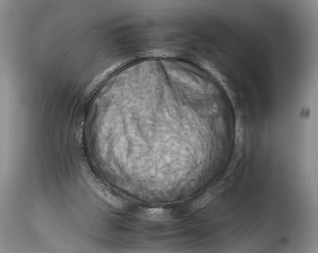 X0000114560153200911091226