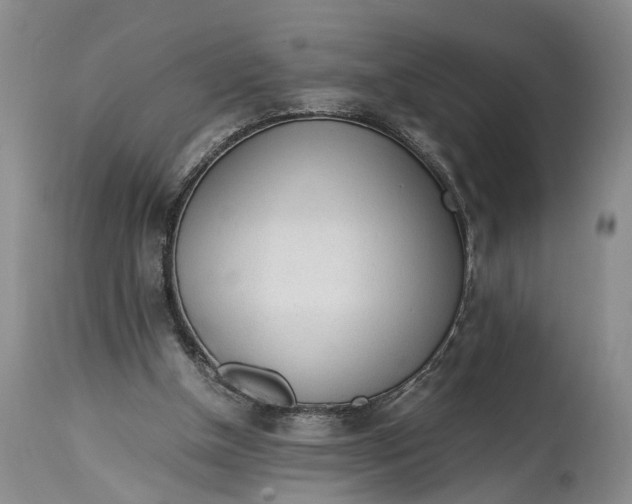 X0000114560154200911091226