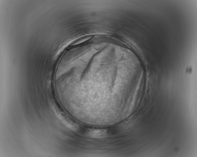 X0000114560155200911091226