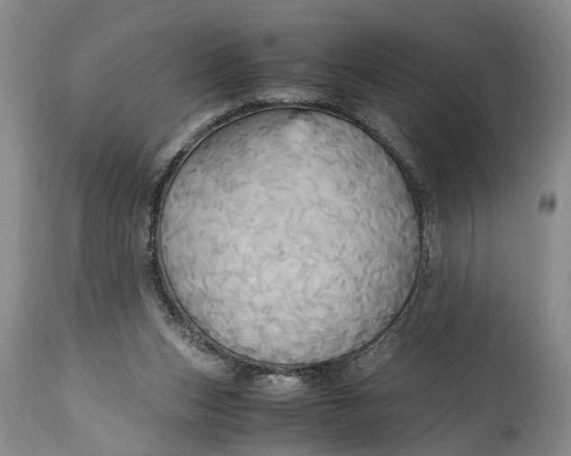 X0000114560159200911091226