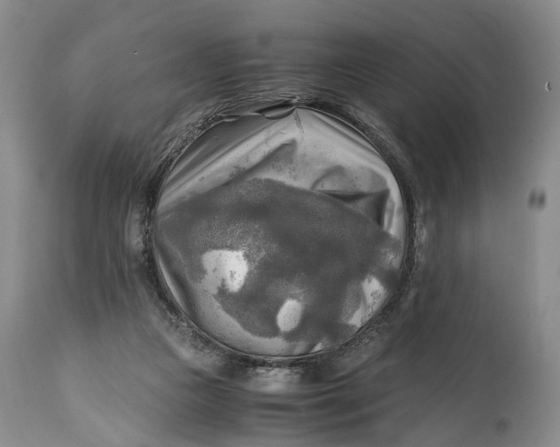 X0000114560161200911091226