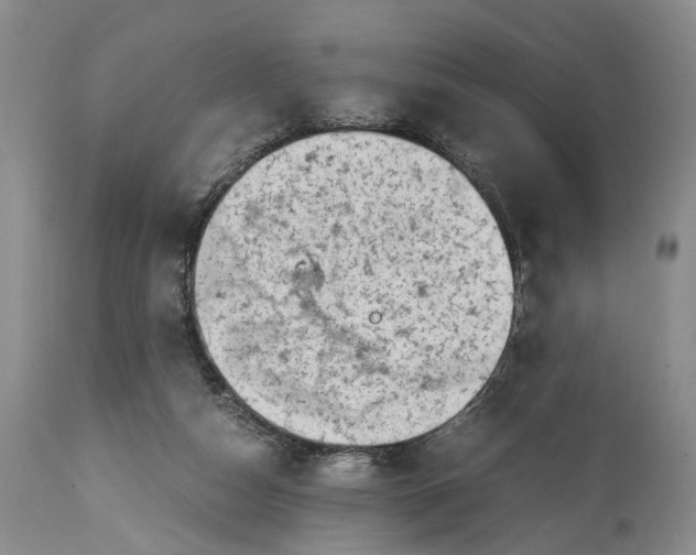 X0000114560162200911091226
