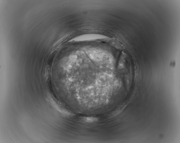 X0000114560165200911091226