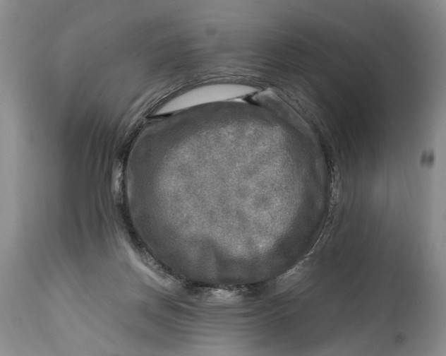 X0000114560166200911091226
