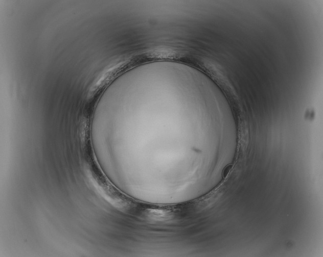 X0000114560167200911091226