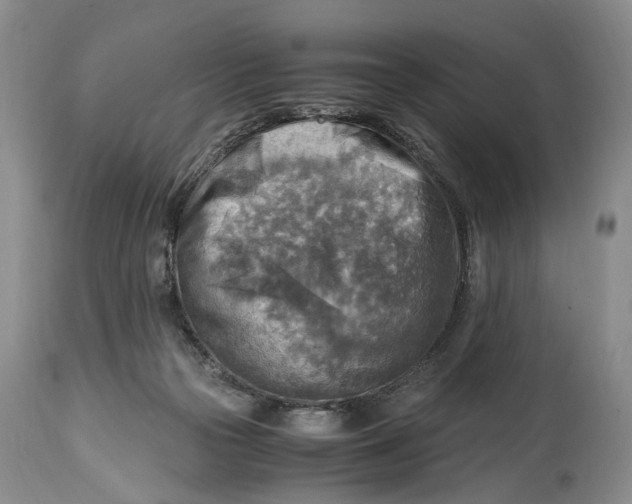X0000114560169200911091226