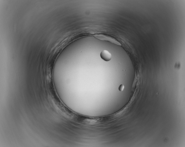 X0000114560170200911091226