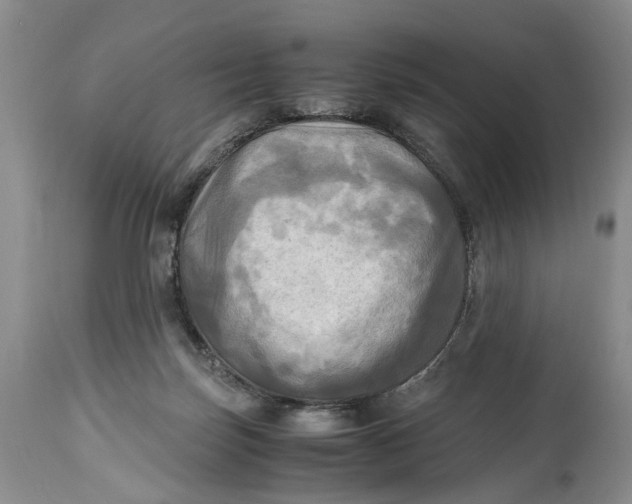 X0000114560171200911091226