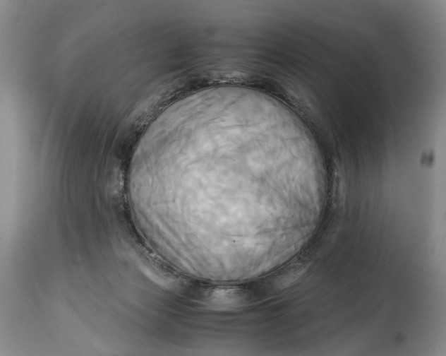 X0000114560173200911091226