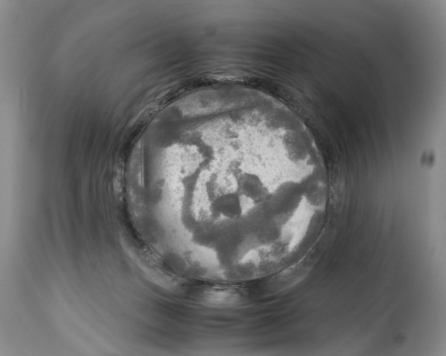 X0000114560175200911091226